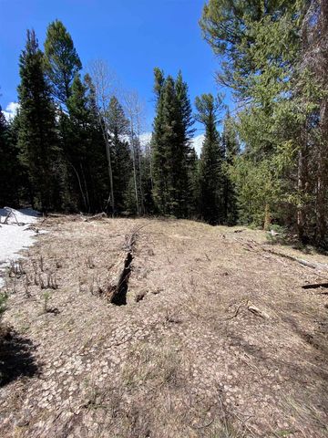 433 Juniper Road, Cimarron, CO 81220