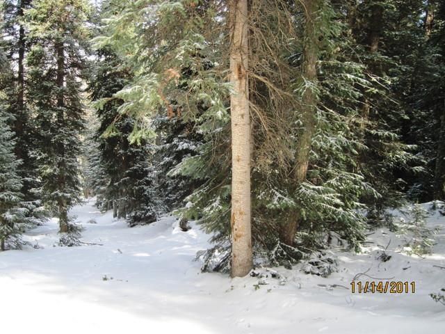 433 Juniper Road, Cimarron, CO 81220