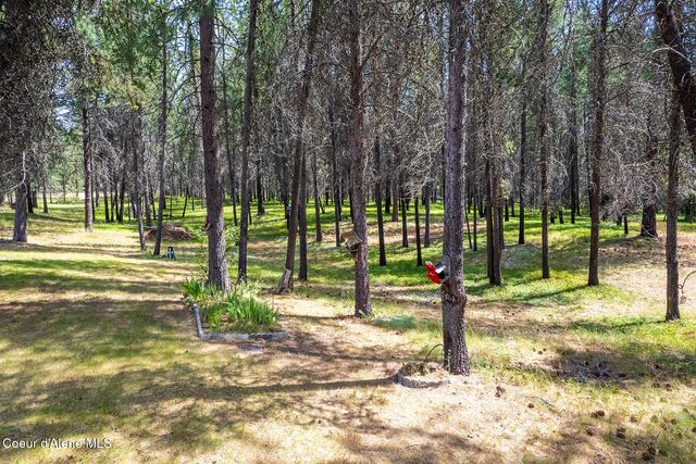 1246 Blanchard Cutoff, Blanchard, ID 83804