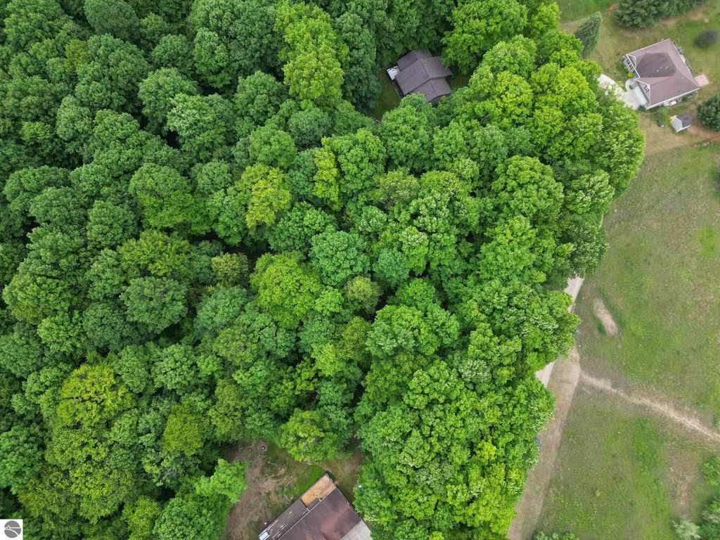 Image 5 of property listing at TBD Juniper Drive, Farwell, MI 48622