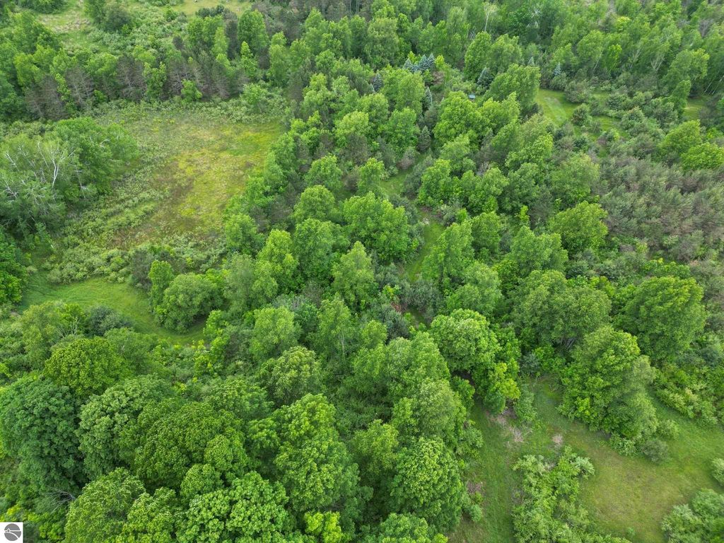 Image 6 of property listing at TBD Juniper Drive, Farwell, MI 48622