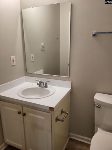 123 W Waverly Place Court, Columbia, SC 29229