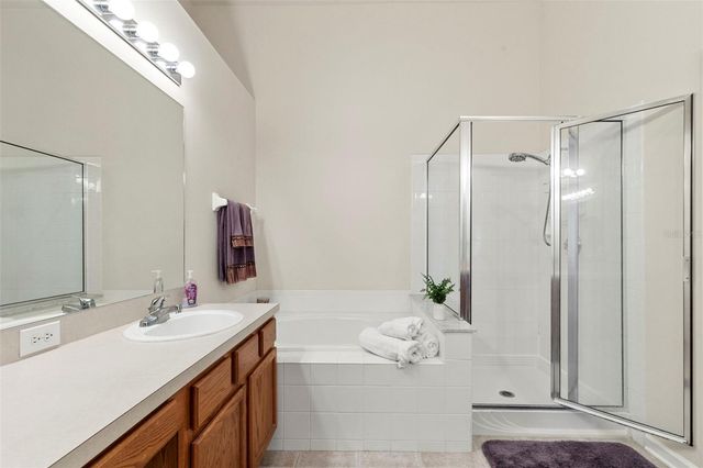 30709 LANESBOROUGH CIRCLE, Wesley Chapel, FL 33543