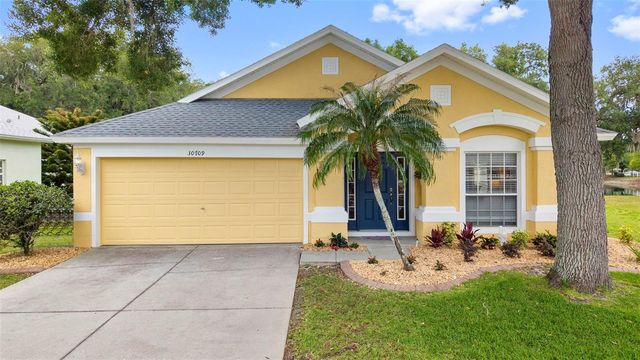 30709 LANESBOROUGH CIRCLE, Wesley Chapel, FL 33543