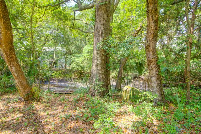 1584 Periwinkle Drive, Mount Pleasant, SC 29466
