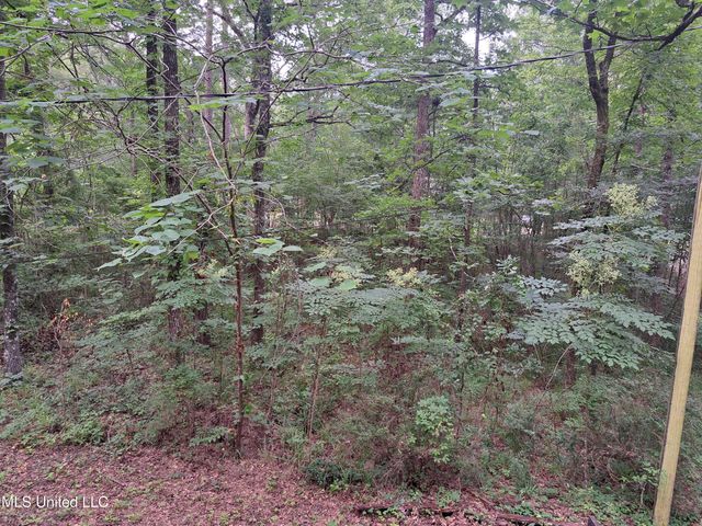 105 Friar Tuck Drive, Brandon, MS 39042