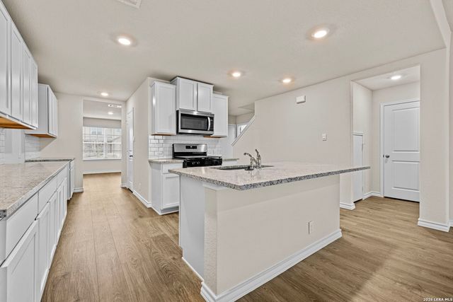 202 Hooded Dotterel, San Antonio, TX 78253