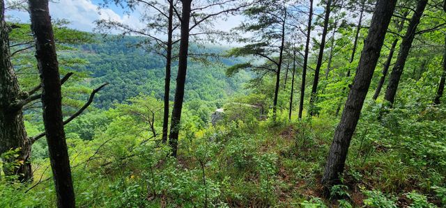 0 Eagle Point Drive, Monteagle, TN 37356