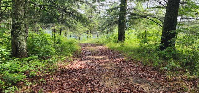 0 Eagle Point Drive, Monteagle, TN 37356