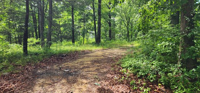 0 Eagle Point Drive, Monteagle, TN 37356