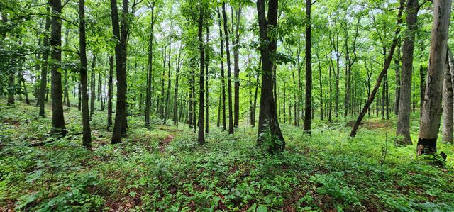 0 Eagle Point Drive, Monteagle, TN 37356
