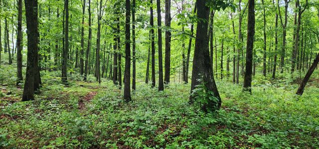0 Eagle Point Drive, Monteagle, TN 37356