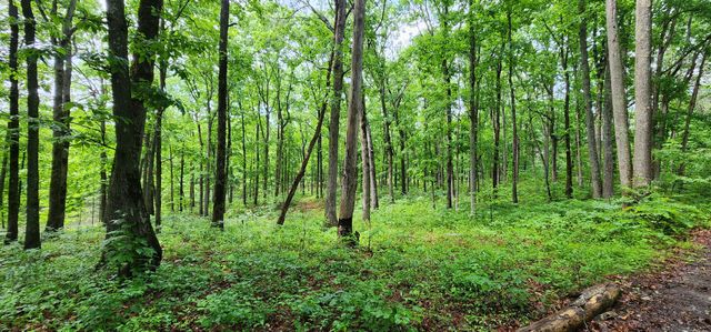 0 Eagle Point Drive, Monteagle, TN 37356