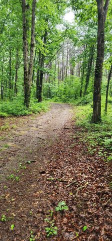 0 Eagle Point Drive, Monteagle, TN 37356
