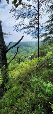 0 Eagle Point Drive, Monteagle, TN 37356