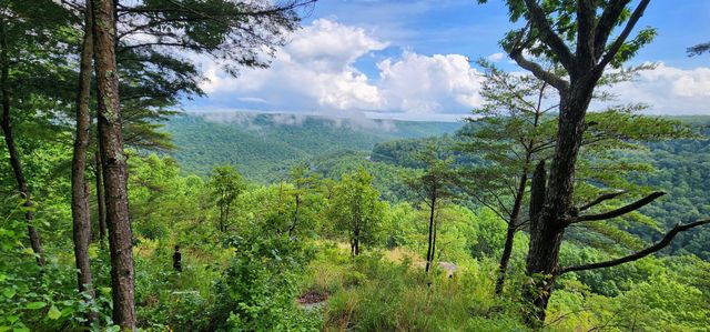0 Eagle Point Drive, Monteagle, TN 37356