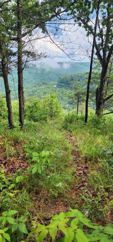 0 Eagle Point Drive, Monteagle, TN 37356