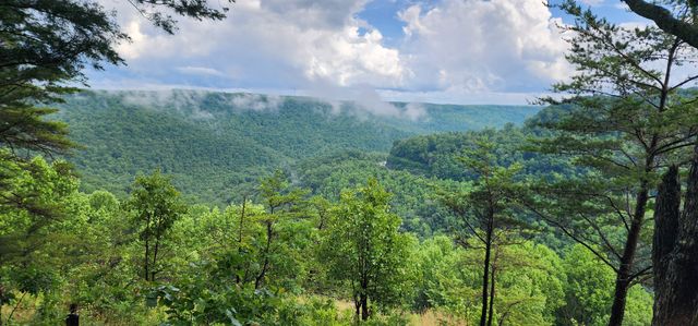 0 Eagle Point Drive, Monteagle, TN 37356