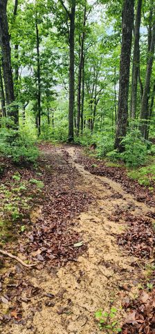 0 Eagle Point Drive, Monteagle, TN 37356