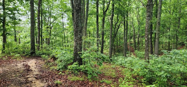 0 Eagle Point Drive, Monteagle, TN 37356