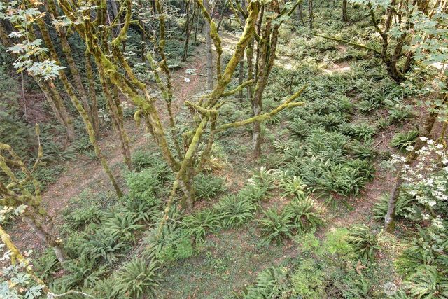 37 XXX SE 212th Way, Sammamish, WA 98075