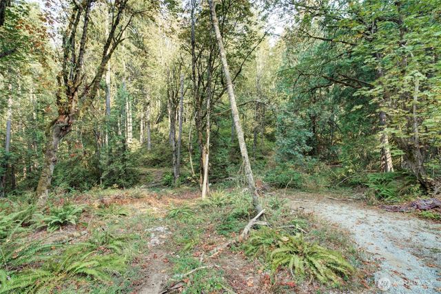 37 XXX SE 212th Way, Sammamish, WA 98075