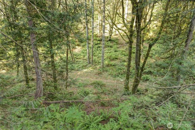 37 XXX SE 212th Way, Sammamish, WA 98075