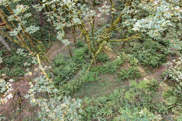 37 XXX SE 212th Way, Sammamish, WA 98075