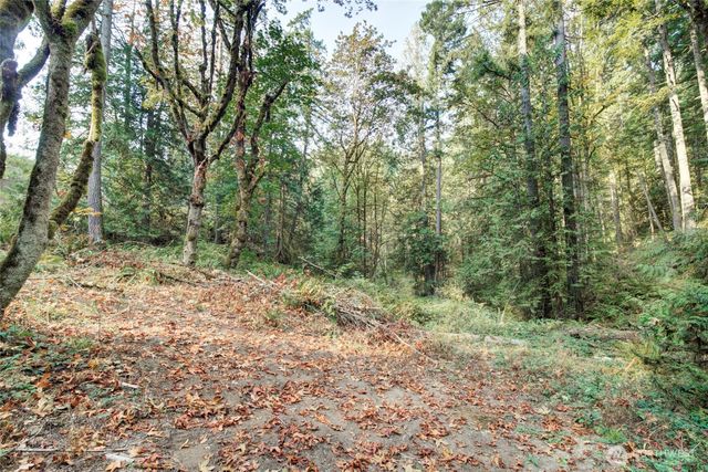 37 XXX SE 212th Way, Sammamish, WA 98075