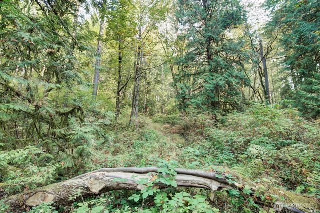 37 XXX SE 212th Way, Sammamish, WA 98075