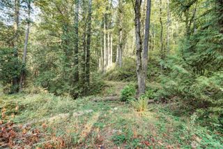 37 XXX SE 212th Way, Sammamish, WA 98075