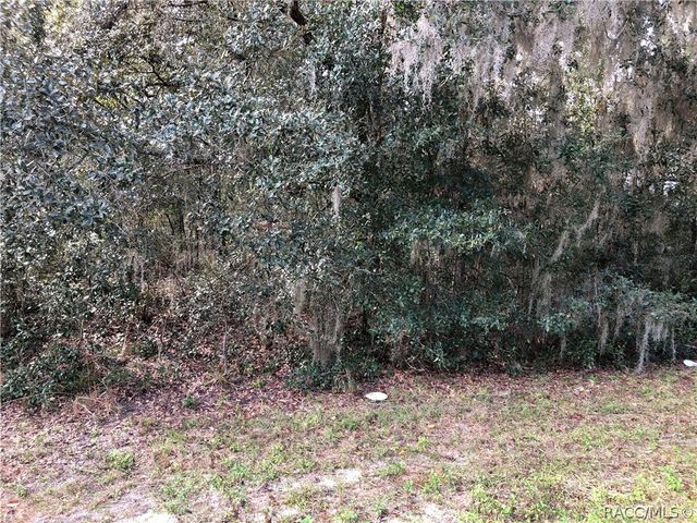 1884 W Blackhawk Place, Citrus Springs, FL 34434