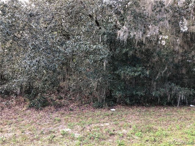 1884 W Blackhawk Place, Citrus Springs, FL 34434