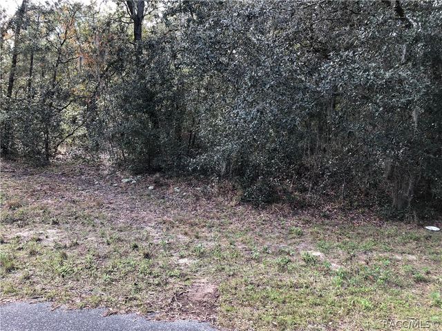 1884 W Blackhawk Place, Citrus Springs, FL 34434
