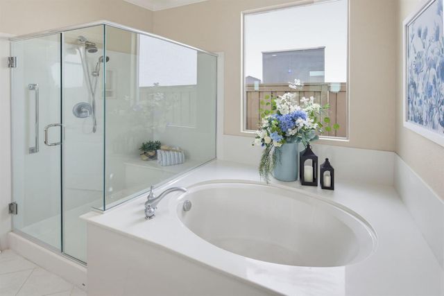 1368 Lasso Lake Ln, Lincoln, CA 95648