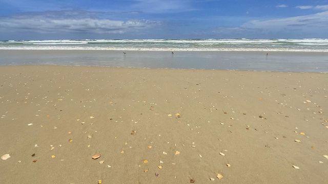 4501 S ATLANTIC AVENUE 209, New Smyrna Beach, FL 32169
