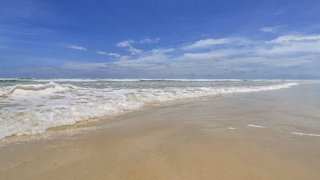 4501 S ATLANTIC AVENUE 209, New Smyrna Beach, FL 32169