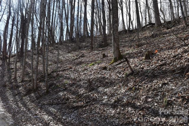 417& 418 Multiflora Way 417&418, Waynesville, NC 28785