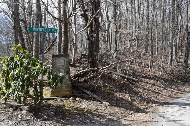 417& 418 Multiflora Way 417&418, Waynesville, NC 28785