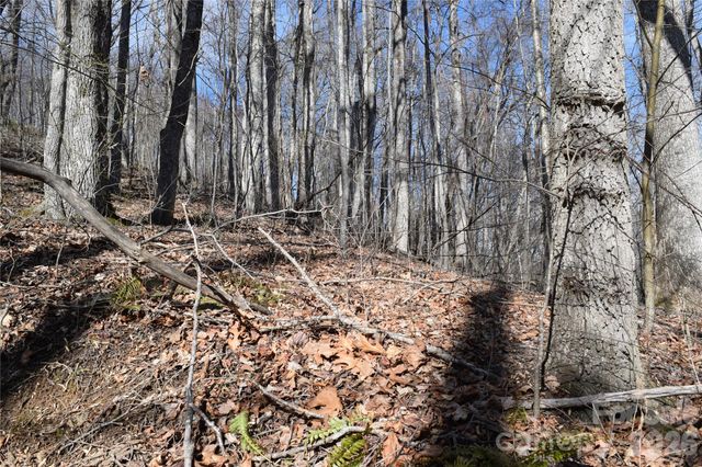 417& 418 Multiflora Way 417&418, Waynesville, NC 28785