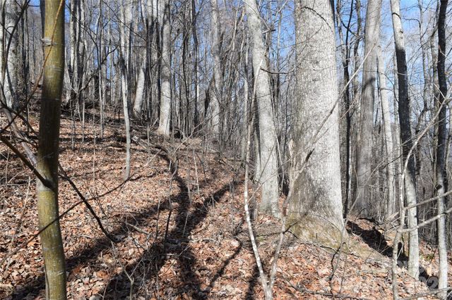 417& 418 Multiflora Way 417&418, Waynesville, NC 28785