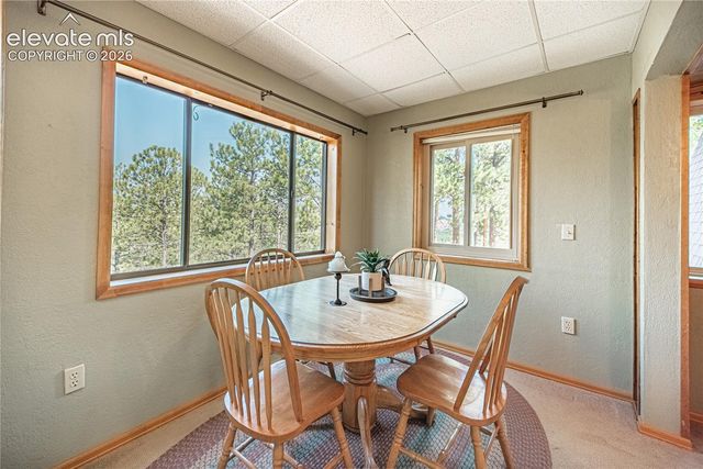 76 Pine Drive, Woodland Park, CO 80863