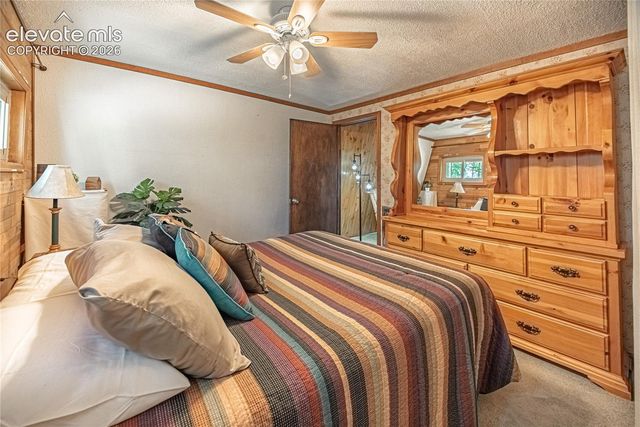 76 Pine Drive, Woodland Park, CO 80863