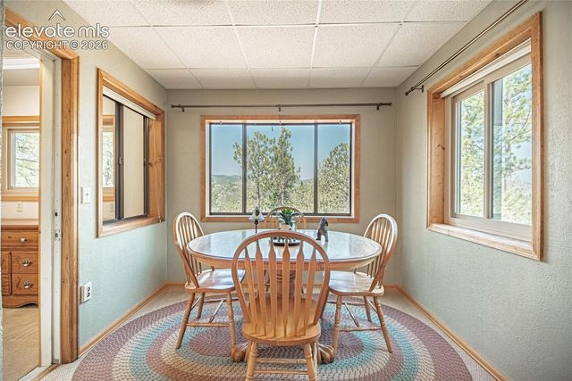 76 Pine Drive, Woodland Park, CO 80863