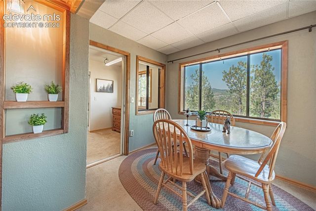 76 Pine Drive, Woodland Park, CO 80863