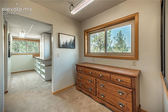 76 Pine Drive, Woodland Park, CO 80863