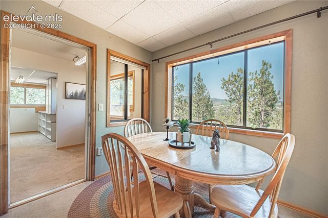 76 Pine Drive, Woodland Park, CO 80863