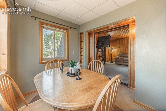 76 Pine Drive, Woodland Park, CO 80863