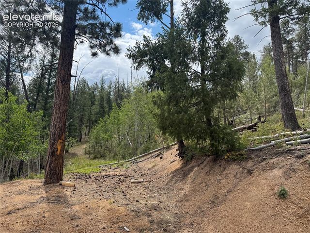 76 Pine Drive, Woodland Park, CO 80863