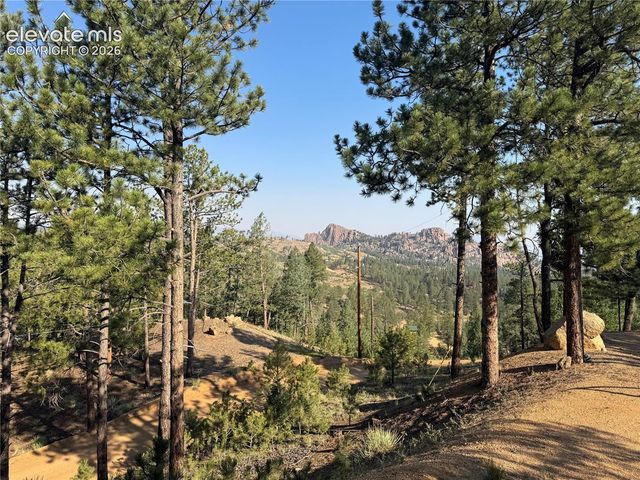 76 Pine Drive, Woodland Park, CO 80863